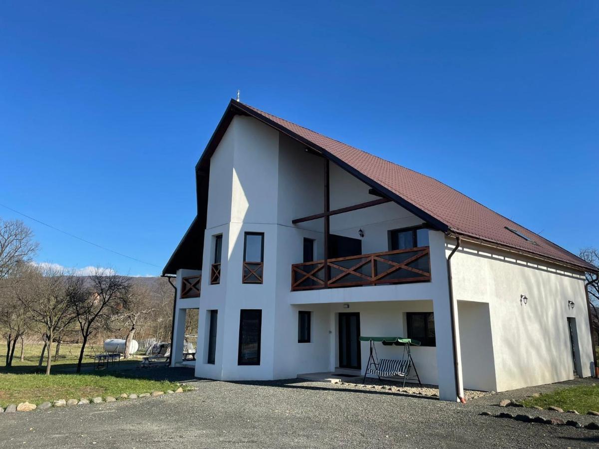 Pensiunea Rnb Maramures Surdesti  Exterior photo