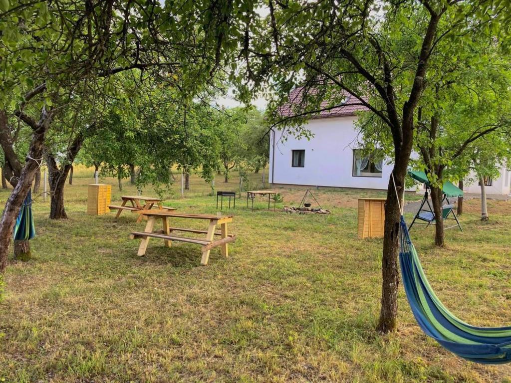 Pensiunea Rnb Maramures Surdesti  Exterior photo