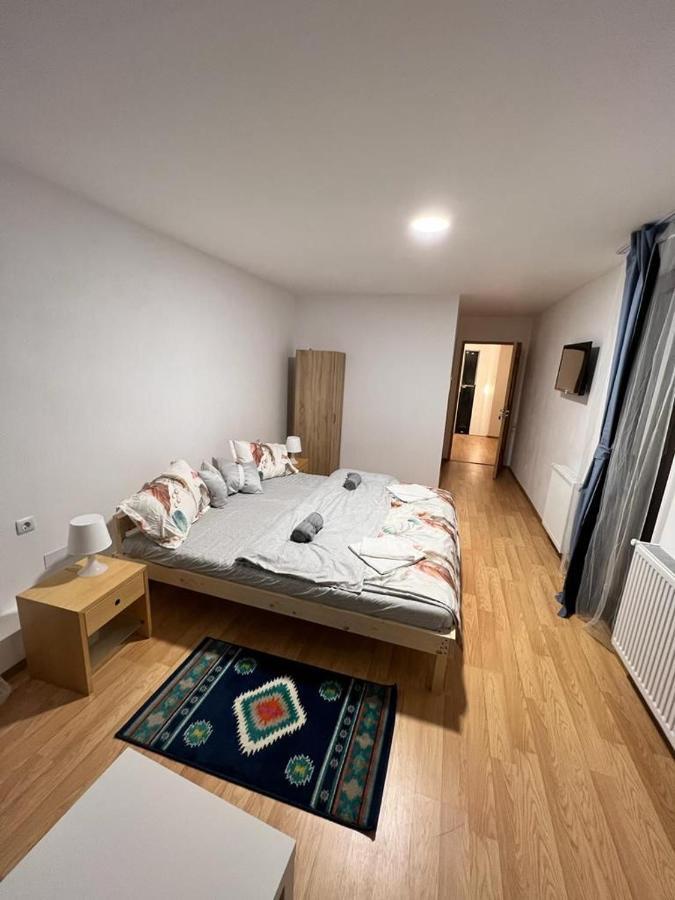 Pensiunea Rnb Maramures Surdesti  Exterior photo