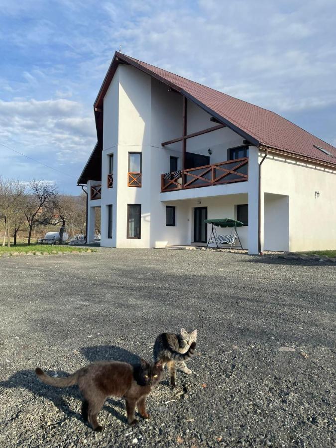 Pensiunea Rnb Maramures Surdesti  Exterior photo